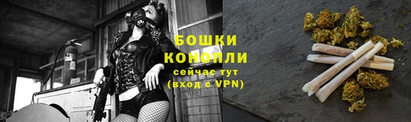 гашик Белоозёрский