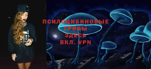 гашик Белоозёрский
