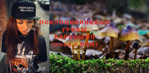 спиды Белокуриха