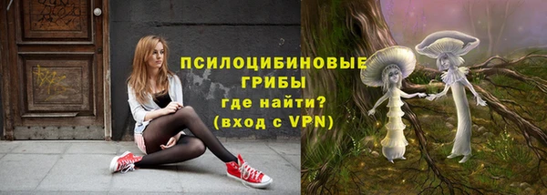 гашик Белоозёрский